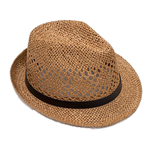 ANTLER Hat Boho Panama Natural