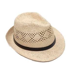ANTLER Hat Boho Panama Oat
