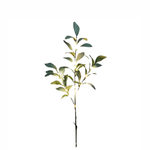 FRENCH COUNTRY Olive Branch Light Small