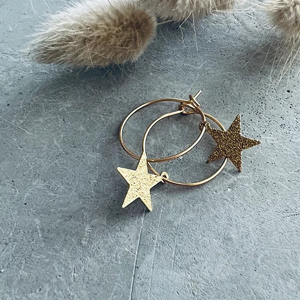 TWIGG Earrings Sparkle Star