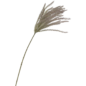 FLOWER SYSTEMS Common Reed Grass Spray 81cm