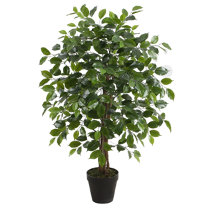 ONE WORLD Potted Ficus Tree 90cm