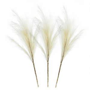 RFA Artificial Pampas Grass Natural – Ahuriri Pharmacy Napier | New Zealand