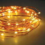 SEED LIGHTS Copper Wire 2metre 20 Lights Warm White (Battery)